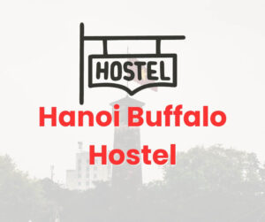 Hanoi Buffalo Hostel
