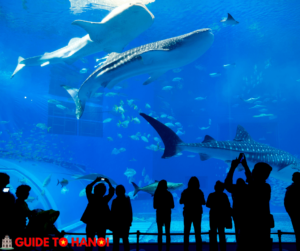Lotte World Aquarium Hanoi